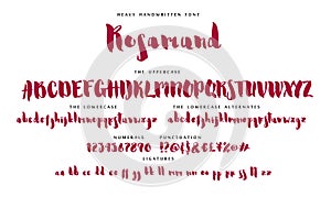 Handwritten script font vector alphabet Rosamund set