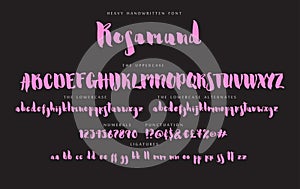 Handwritten script font vector alphabet Rosamund set