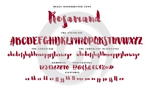 Handwritten script font vector alphabet Rosamund set photo