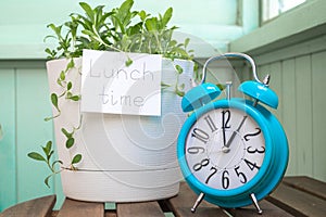 Handwritten text "lunch time" On notepad, home plant and blue alarm clock. Concept of home office, time to break.