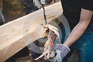 Handy woodcutter prepares larch wood for later processing. Planing wood. Working larch boards with traditional tools. Hand