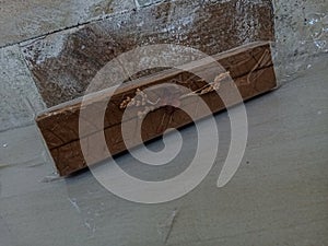 Handycrafts by dried leaves