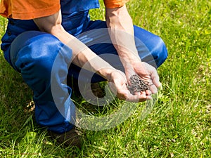 Handyman in blue working equipment holds a pile of screws