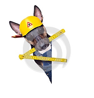 Handyman  dog with tool in mouth