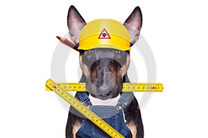 Handyman  dog with tool in mouth