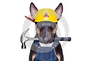 Handyman  dog with tool in mouth