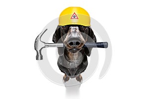 Handyman  hammer dog with helmet