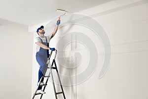 Handyman painting ceiling with white dye, space for text