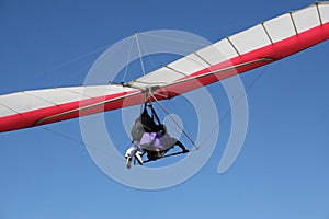 The Hang Glider