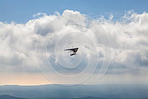 Hang glider