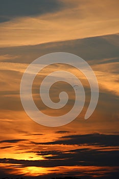 Hang glider in colored sunset sky