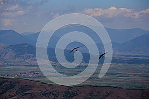 Hang glider flying in the mountains in Makedonia photo