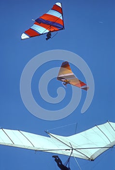 Hang Gliders Circle in a Thermal Over Buffalo Mountain, Oklahoma