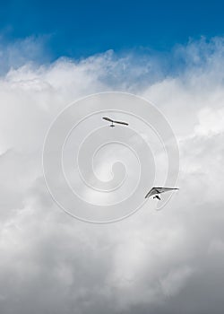 Hang Gliders and Storm Clouds