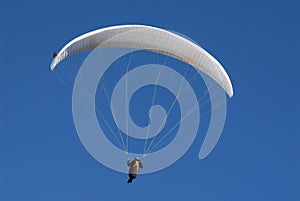 Hang-gliding in the blue sky over the mountains between the Italian border and that of Slovenia