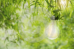 Hang keep Light bulb glowing idea or energy