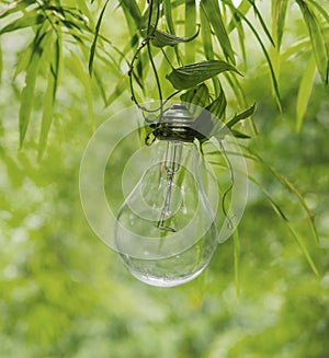 Hang keep Light bulb glowing idea or energy