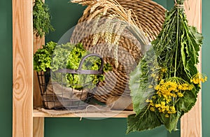 Hang-up bunch of herbs near basket with fresh lettuce on shelf