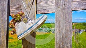 hang white sneakers shoes to fence - hipster shoes reuse in natural background