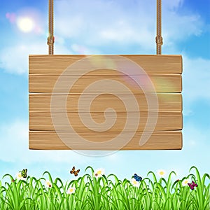 Hang wood board sign with grass and sky background