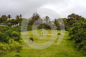 Hanga Roa center, Easter Island, Chile