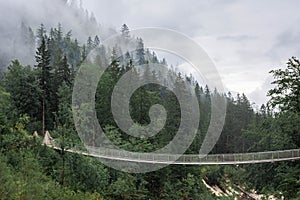 The Hangebrucke, hanging wooden bridge in the forest of Berchtesgaden National Park, Germany