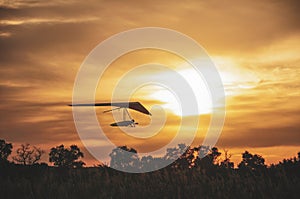 Hangglider silhouette at the sunset