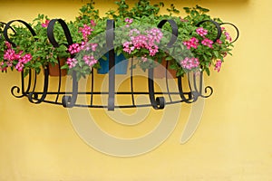 Hanging Basket of Flower on Wall.