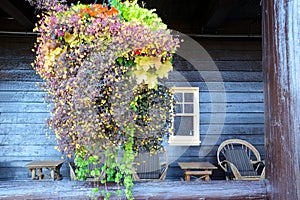 Hanging basket full of flowers hang before an old wooden hotel.