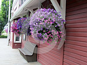 Hanging basket planter with self watering irrigation systems outside of Agassiz-Harrison Historical train station.