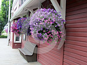 Hanging basket planter with self watering irrigation systems outside of Agassiz-Harrison Historical train station. photo