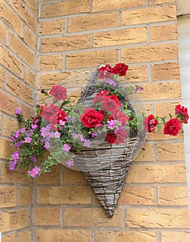 Hanging basket with range of red and pink petunia.