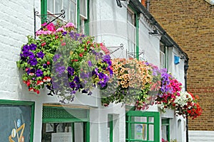 Hanging baskets floral display