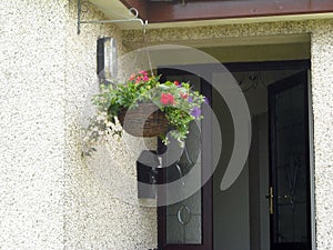 Hanging baskets of flowers