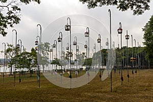 Hanging bird cages at the park