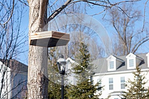 Hanging bird feeder