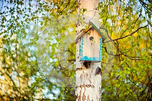 Hanging bird house box