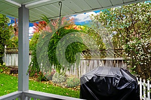 Hanging Boston Fern and barbecue in an autumn backyard