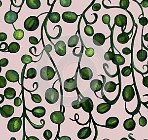 Hanging branches of Senecio herreianus String of Raindrops, watercolor painting. Seamless pattern isolated on light green backgrou