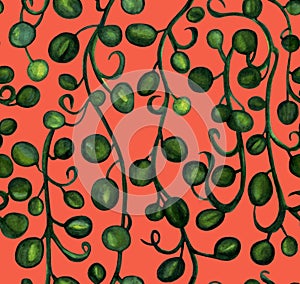 Hanging branches of Senecio herreianus String of Raindrops, watercolor painting. Seamless pattern isolated on salmon color backgro