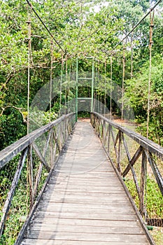 Hanging bridg in eco-archaeological park Los Naranjos, Hondur photo
