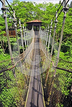 Hanging Bridge