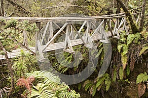 Hanging bridge