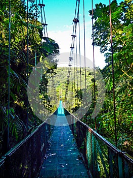 Hanging bridge