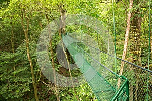 Hanging bridge