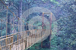 Hanging bridge