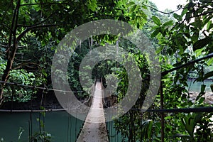 Hanging bridge in Corcovado National Park in Costa Rica