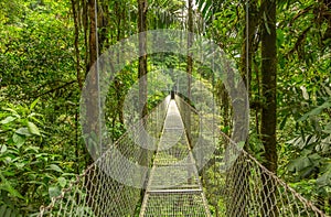Hanging bridge in Costa Rica