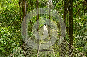 Hanging bridge in Costa Rica photo