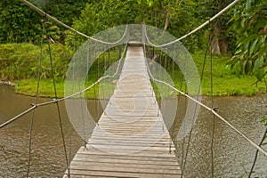 Hanging bridge in the forest.